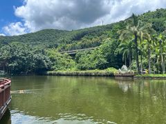 -西双版纳原始森林公园