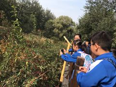 -北京麋鹿生态实验中心
