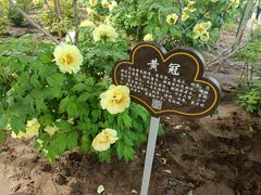 -洛阳市隋唐城遗址植物园