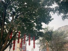 -两江国际影视城