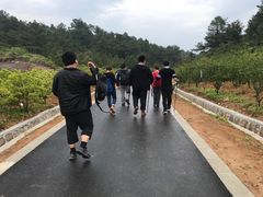 -灵岩山风景区