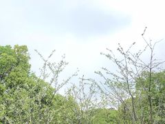 -凤凰沟景区