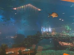 -海棠湾洲际-涛·海底餐厅·美人鱼·自助餐·海底隧道