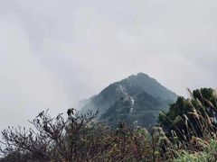 -梧桐山风景名胜区