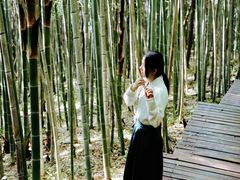 -南京市无想山景区