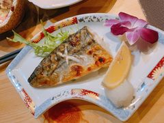 烤青花鱼-新鲜屋(海德二道店)