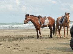 -台山黑沙湾海浴场