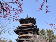 -杭州半山国家森林公园