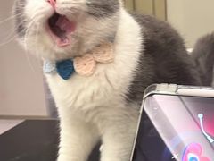 -天宠宠物医院24小时·急重症诊疗中心·全科·腔镜特色(和平分院)