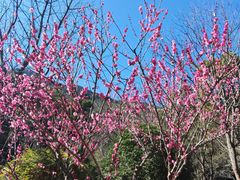 -黄公望隐居地