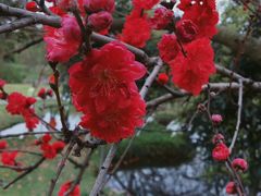 -成都中医药大学(温江校区)