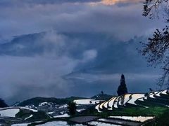 -上海燃气(江桥用户服务中心)