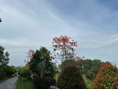 -东莞植物园