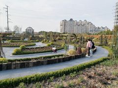 -金银湖国家城市湿地公园