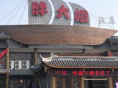 -胖大姐黄辣丁鱼庄(新津店)