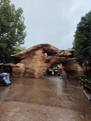 -翱翔飞越地平线