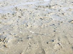 -北海金海湾红树林生态旅游区