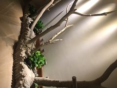 -厦门喜来登酒店