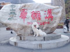 -金鼎雪山牦牛杂火锅(理县总店)