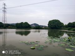 -长田漾湿地公园