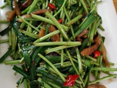 藜蒿炒腊肉-白鹿江西餐厅(北师大店)