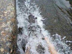 -将军关探险漂流