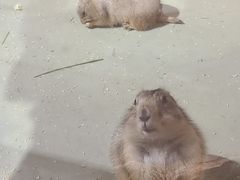 -正佳雨林生态植物园