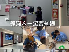 -御宝贝24h宠物医院·转诊中心·CT核磁血透中心(厦门总院)