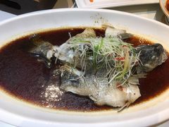 清蒸鲈鱼-院8里·少城记忆老川菜(宽窄巷子店)