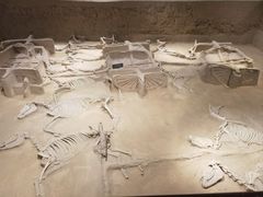 -洛阳周王城天子驾六博物馆