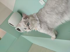 -怪兽屋·羊驼·猫咖·狗咖(俊华广场店)