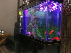 水产区-绥缘老烧麦(华睿园店)