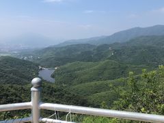 -北京西山国家森林公园