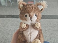 -常州奔牛国际机场