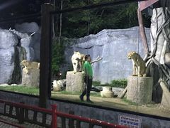 -清迈夜间动物园