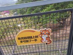 -深圳野生动物园