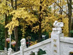 -九华山风景区