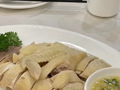 -清新鸡沙田乳鸽店(金融店)