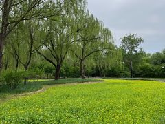 -北坞公园