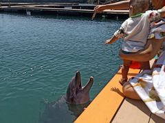 -南紀白浜 浜千鳥の湯 海舟