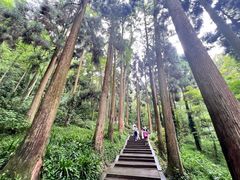 -青城山
