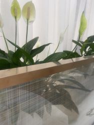 -悟空祛痘·诺奖技术专业店