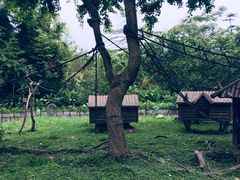 -上海野生动物园