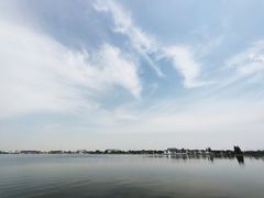 -鹅湖玫瑰文化园