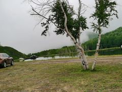 -丰宁坝上草原
