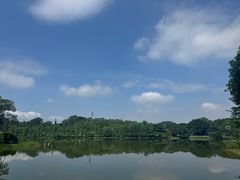-东莞植物园