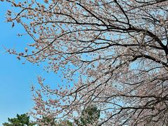 -吉林大学(南岭校区)