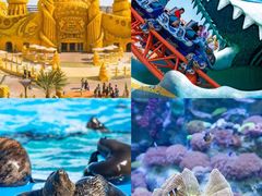 -上海海昌海洋公园