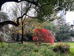 -上海兴国宾馆香樟园西餐厅