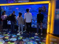 -烟台海昌鲸鲨海洋公园